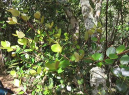 IMG_0022