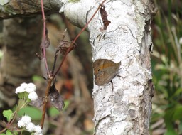 IMG_0034