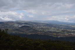 Vue sur La Plaine des Cafres