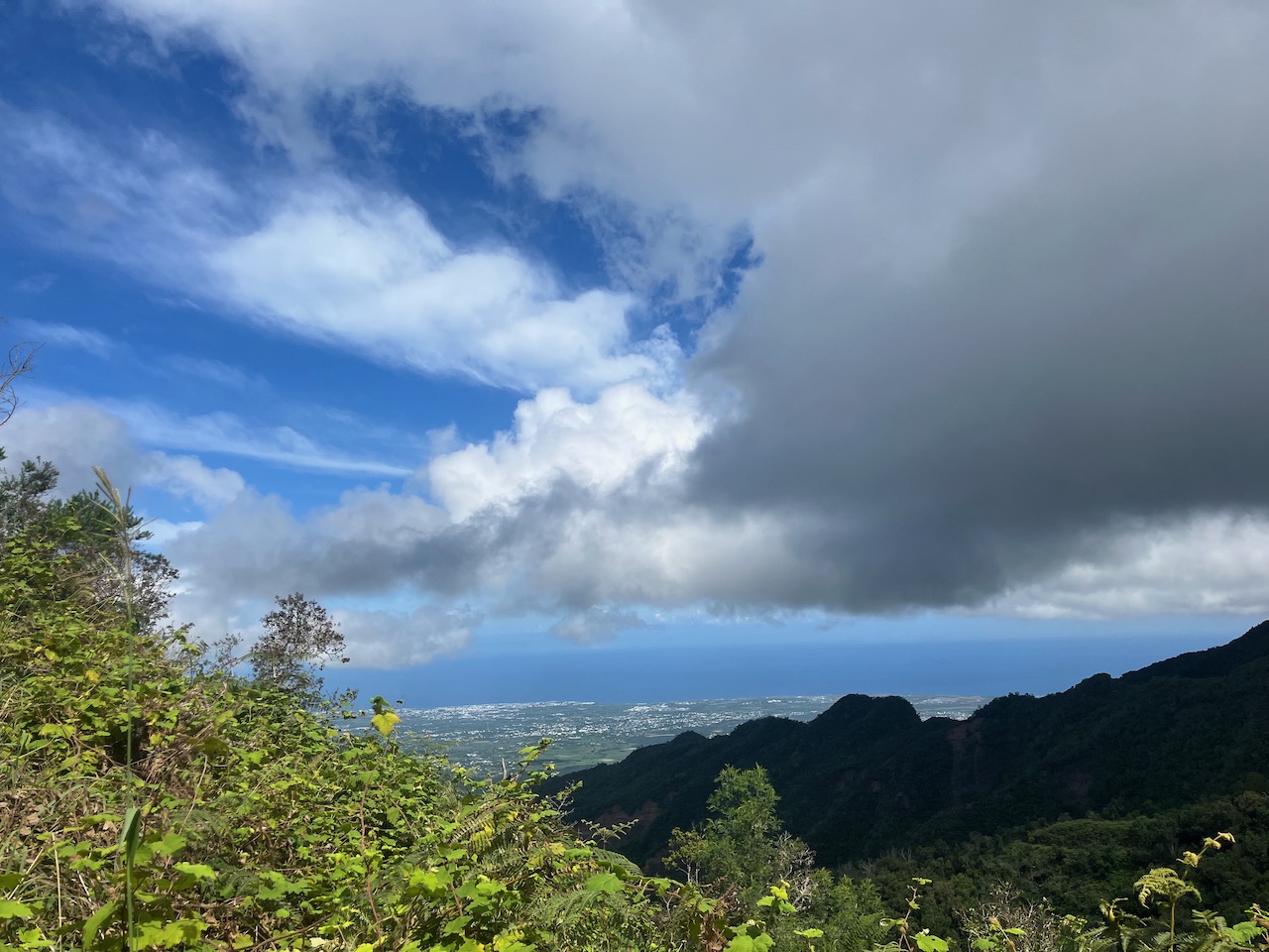 30. Vuvers la côte sud-ouest depuis la piste de la Chapelle.jpeg