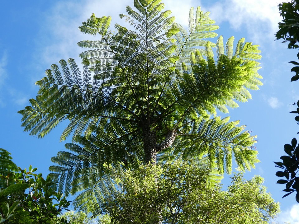 P1020389