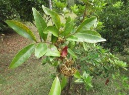IMG_3201
