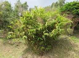 IMG_3205