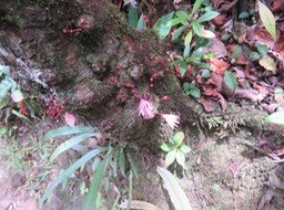 IMG_3220