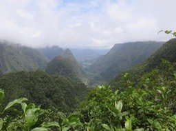IMG_3224