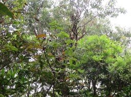 IMG_3229