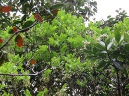 IMG_3230