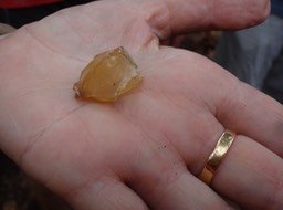04 8 Résine Ambre de Copal  DSC06804