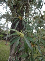 07 4 DSC06850