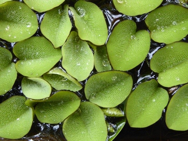 P1240416