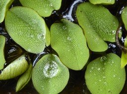P1240421