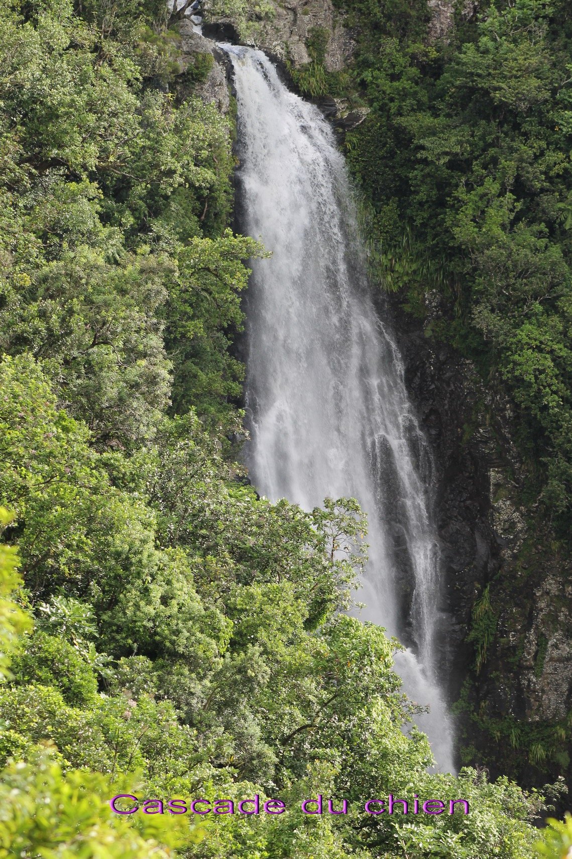 Cascade du Chien.jpg
