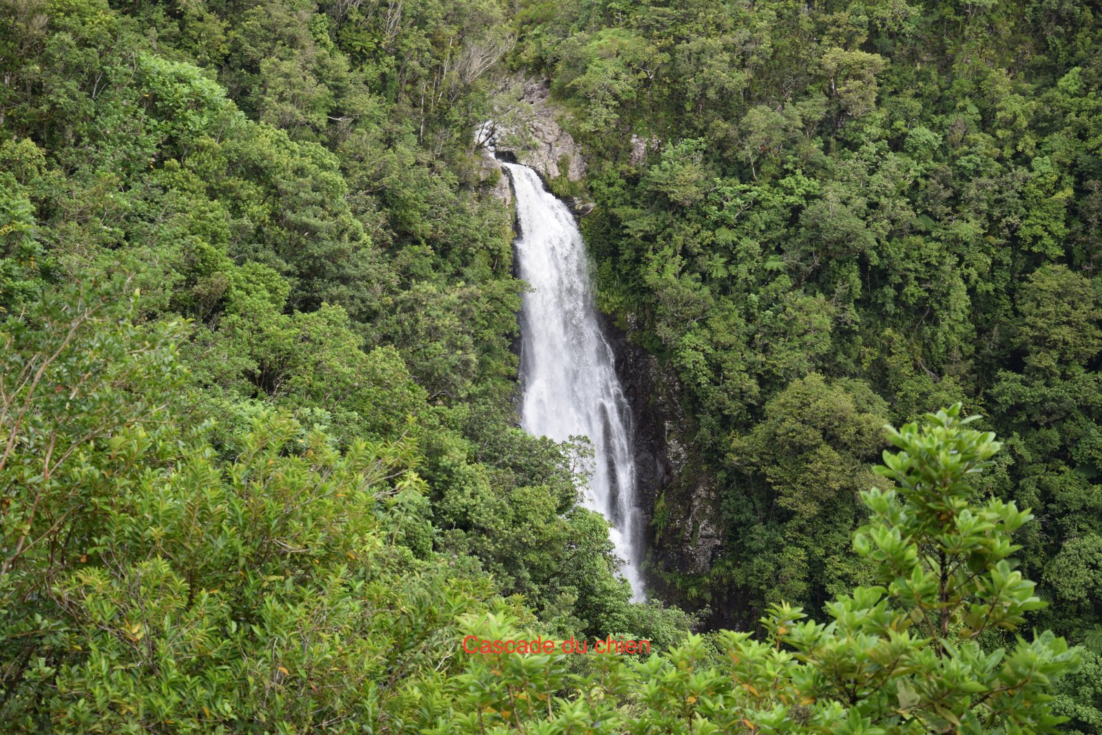 DSC_0848.JPG