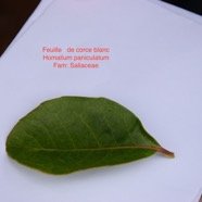 DSC_0883.JPG