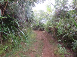 IMG_0607