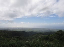 IMG_0612