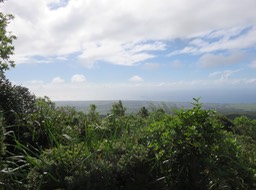 IMG_0614