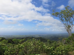 IMG_0615