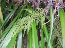 IMG_0621