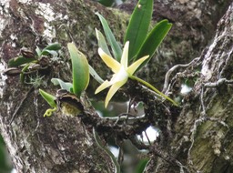 IMG_0631
