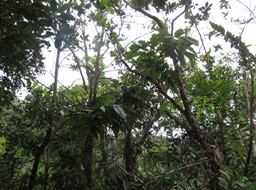 IMG_0643