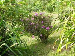 P1760444