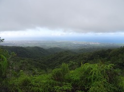 Point de vue vers Bras Panon, St André - DSC00953