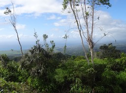 Point de vue vers St Benoit - DSC00904