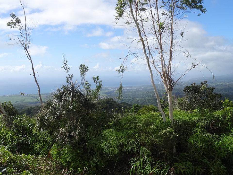 Point de vue vers St Benoit - DSC00904