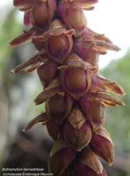 P1060984