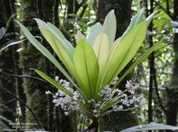 P1070178
