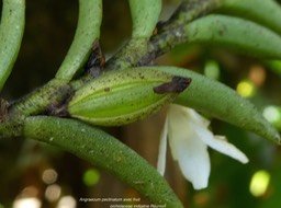 P1070203