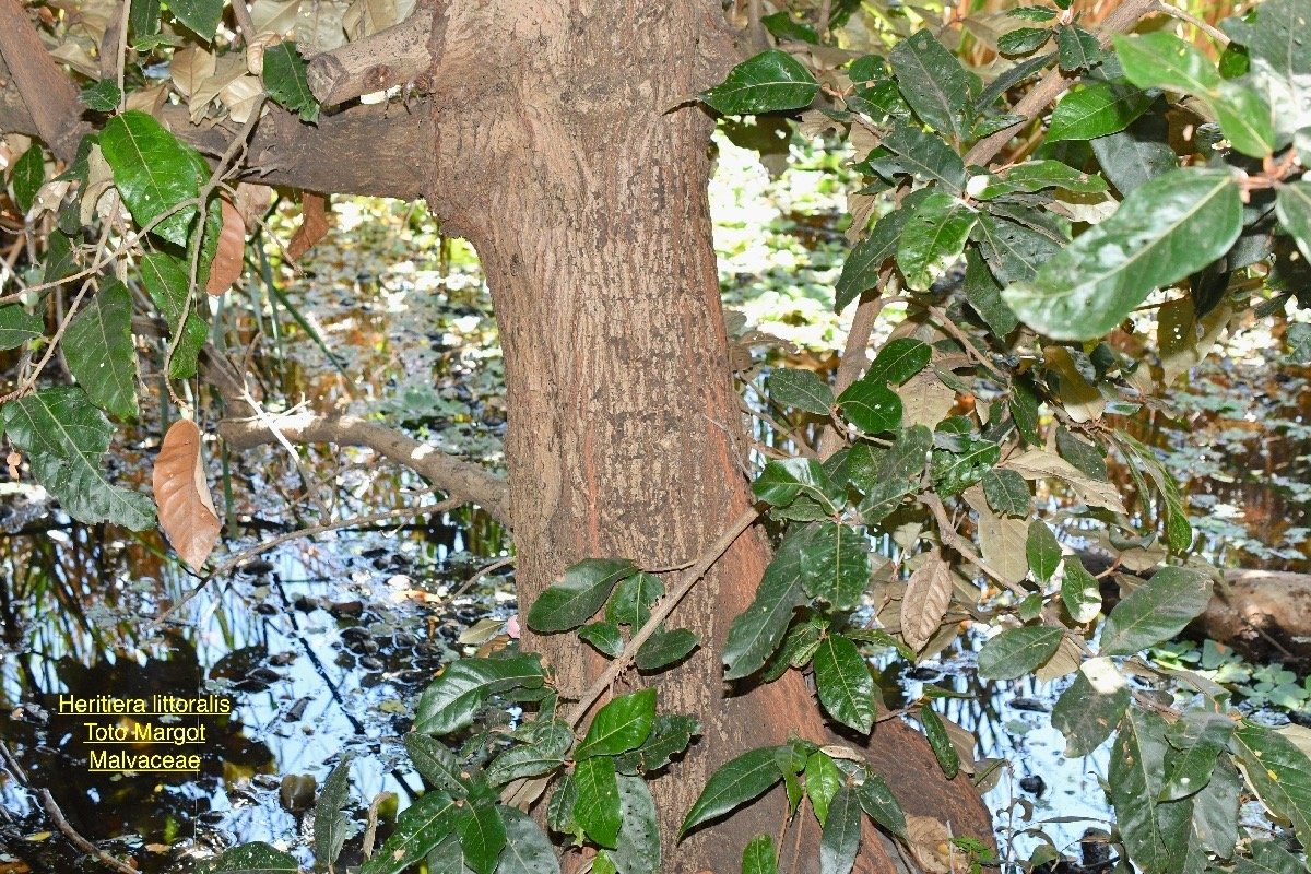 DSC_0688