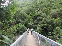 DSC03807