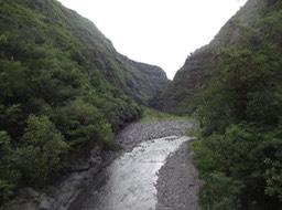DSC03813