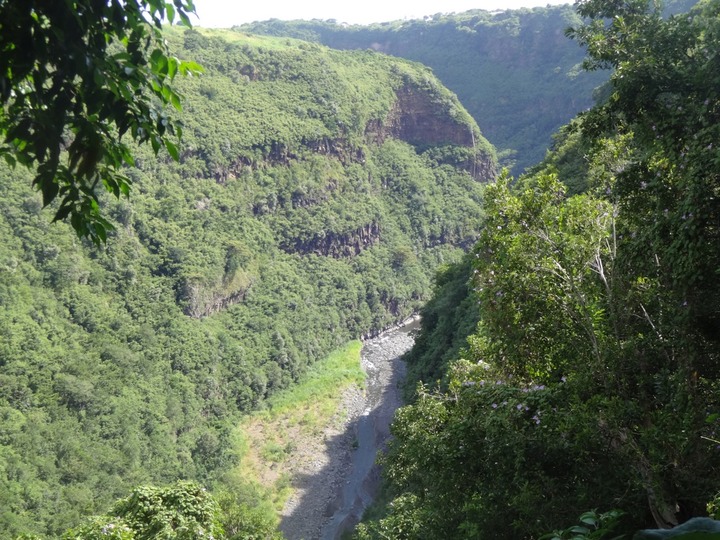 DSC03819