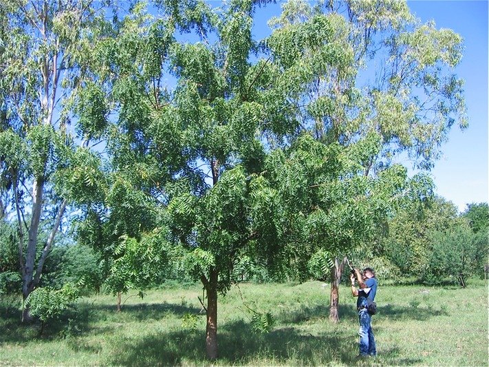 IMG_5005