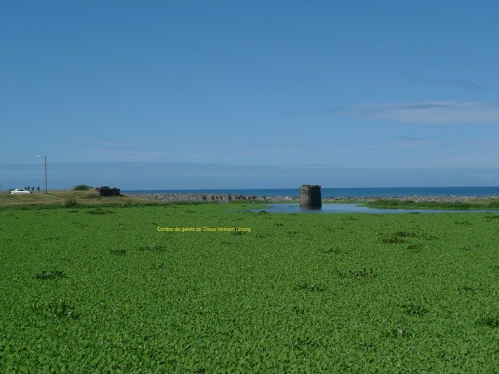 P1000613