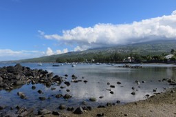 IMG_1240