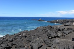 IMG_1263