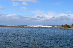 DSC_0173