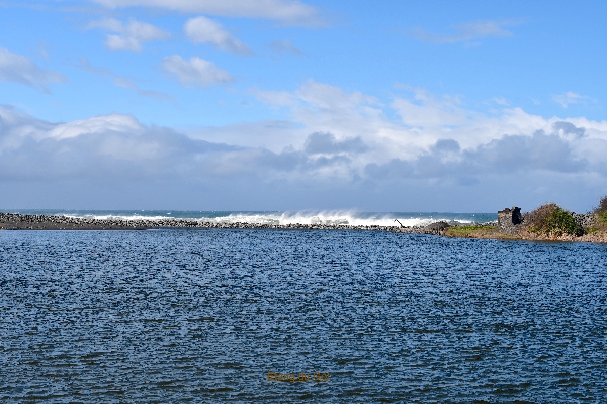 DSC_0173