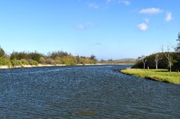 DSC_0175