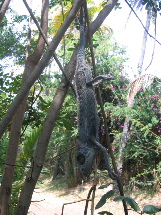 IMG 0023