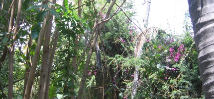 La mort en ce jardin IMG 0024