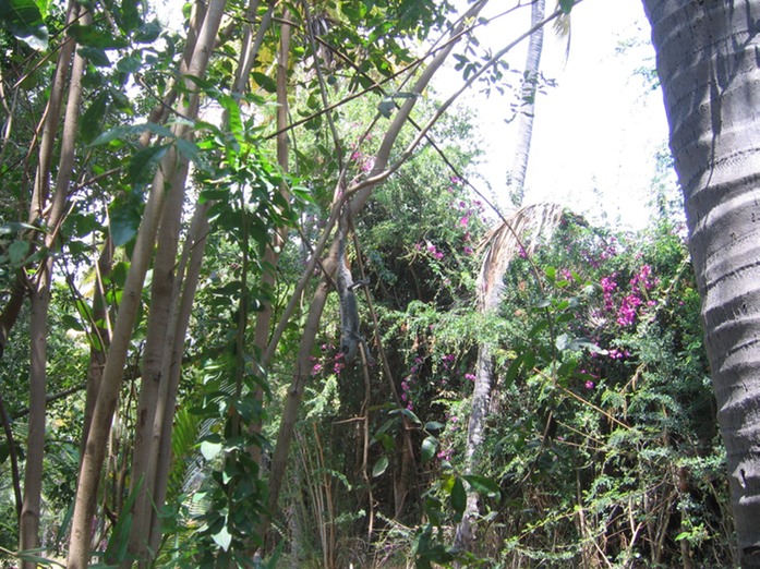 IMG 0024