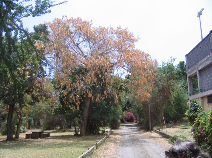 IMG 0032