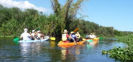 Le retour des kayaks P1110895