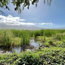IMG_1251.jpeg