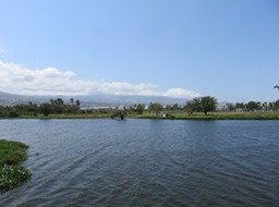 Etang du Gol, vue vers le Sud IMG_0422